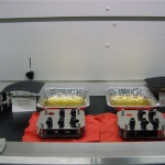 Fuel Exposure Test Setup inside Fume Hood