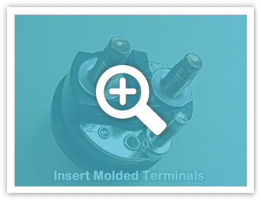 Insert Molded Terminals